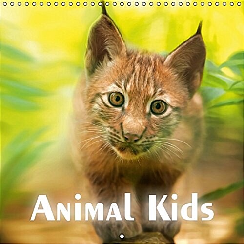 Animal Kids 2017 : The Funny and Sweet Animal Calendar for Old and Young (Calendar, 3 Rev ed)