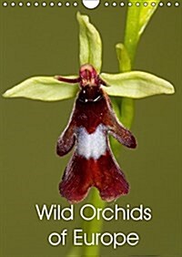 Wild Orchids of Europe 2017 : Beautiful Photos of Wild Orchids Found in Europe (Calendar, 2 ed)