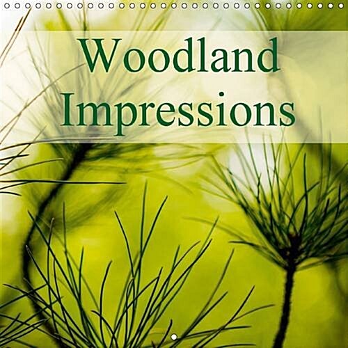 Woodland Impressions 2017 : A Series of Colourful Images Depicting Pine Needles and Other Woodland Foliage. (Calendar, 2 ed)