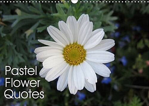 Pastel Flower Quotes 2017 : Beautiful Flowers and Inspiring Quotes in Pastel Colors (Calendar, 3 Rev ed)