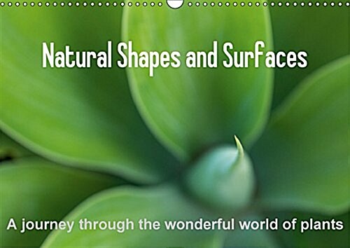 Natural Shapes and Surfaces 2017 : A Unique Selection of Photographs Showing in Detail the Amazing Array of Shapes and Surfaces of Different Plants (Calendar, 3 Rev ed)