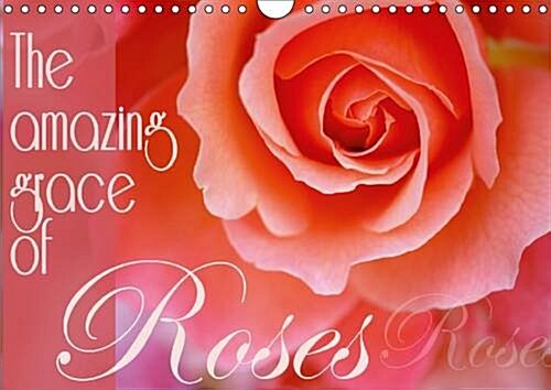 The Amazing Grace of Roses 2017 : Birthday Calendar with Lovley Portraits of Roses. (Calendar, 2 ed)