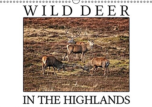 Wild Deer in the Highlands 2017 : Enjoy the Majestic Beauty of Wild Deer in its Natural Environment (Calendar, 3 Rev ed)