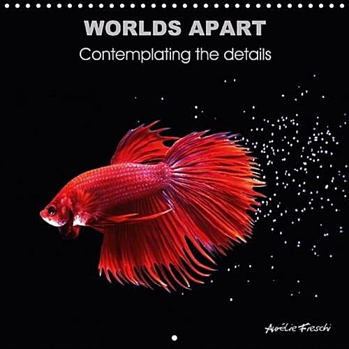 Worlds Apart Contemplating the Details 2017 : Discover My Graphic and Colored Universe, Bursting with Visual Sensations. (Calendar, 2 ed)