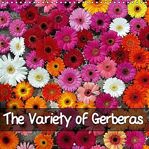The Variety of Gerberas 2017 : Colorful Close-Ups Show You the Heart of Gerberas (Calendar, 3 Rev ed)