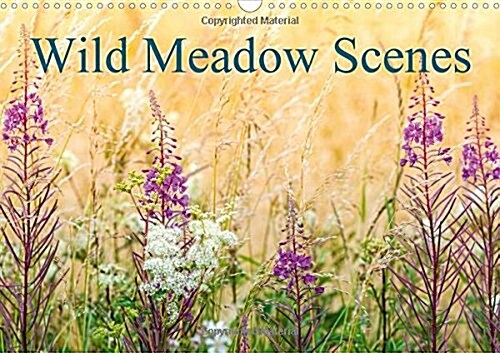 Wild Meadow Scenes 2017 : Wildflower Meadows in Glorius Colour. (Calendar, 2 ed)