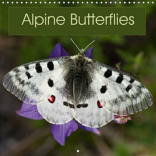 Alpine Butterflies 2017 : A Calendar Featuring Stunning Photos of Some of the Beautiful Butterflies That Can be Found in the Alps (Calendar, 2 ed)