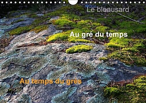 Le Bleausard 2017 : Le Calendrier Des Fans Descalade a Fontainebleau (Calendar, 2 ed)