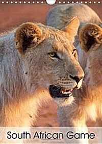 South African Game 2017 : Images of Charismatic South African Wildlife (Calendar)
