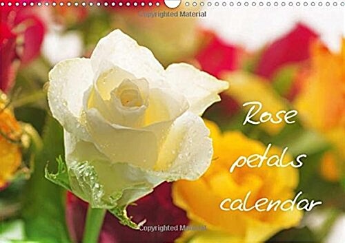 Rose Petals Calendar Great Britain 2017 : A Calendar Can be Seen in the Beauty and Variety of Roses (Calendar, 5 Rev ed)