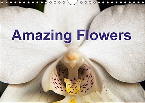 Amazing Flowers 2017 : Beautiful Floral Images (Calendar, 2 ed)