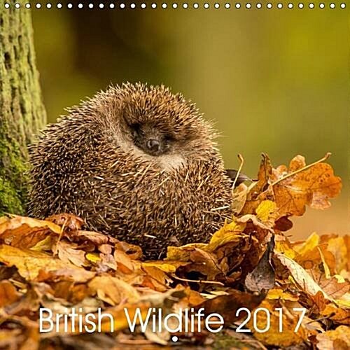 British Wildlife 2017 2017 : Collection of Animal Photos (Calendar, 2 ed)