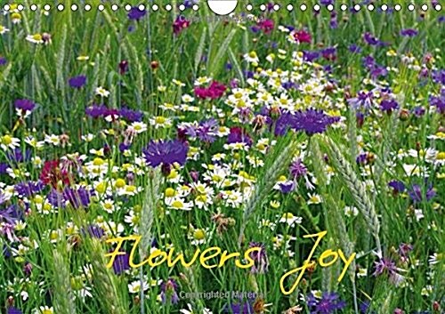 Flowers Joy Great Britain Calendar Edition 2017 : With Beautiful Flowers and Flower Images by the Year (Calendar, 5 Rev ed)