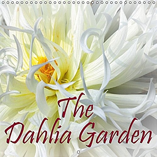 The Dahlia Garden 2017 : Enjoy 12 Wonderful Portraits of Dahlias (Calendar, 3 Rev ed)
