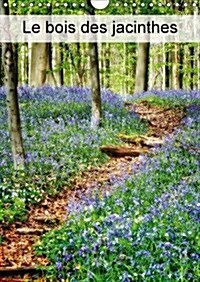 Le Bois Des Jacinthes 2017 : Hallerbos, La Foret Feerique (Calendar)