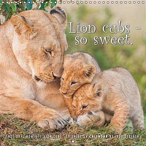 Emotional Moments: Lion Cubs - So Sweet 2017 : Lion Cubs are So Sweet and Pretty (Calendar, 3 Rev ed)
