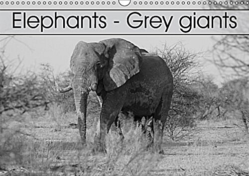 Elephants - Grey Giants 2017 : African Elephants in Southern Africa (Calendar, 3 Rev ed)