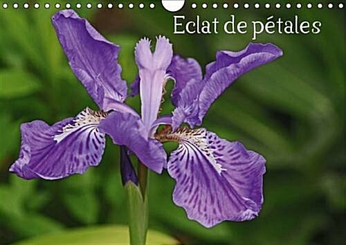 Eclat De Petales 2017 : Les Fleurs Embellissent Nos Journees (Calendar, 2 ed)