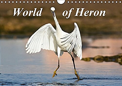 World of Heron 2017 : The Most Common Herons from All Around the World. (Calendar, 2 ed)