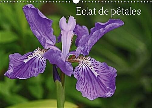 Eclat De Petales 2017 : Les Fleurs Embellissent Nos Journees (Calendar, 2 ed)