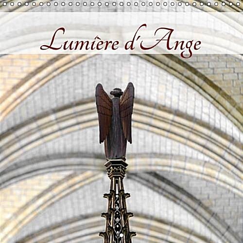 Lumiere Dange 2017 : Sculptures Danges (Calendar, 2 ed)