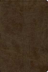 ESV Devotional Psalter (Trutone, Olive) (Imitation Leather)