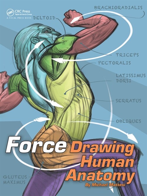 Force: Drawing Human Anatomy (Paperback)