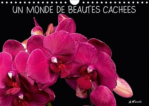 Un Monde de Beautes Cachees 2017 : Venez Decouvrir mon Univers Graphique et Colore, Charge de Sensations Visuelles (Calendar, 2 Rev ed)