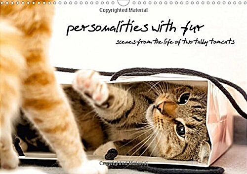 Personalities with Fur - Scenes from the Life of Two Tabby Tomcats / UK-Version 2017 : Photographs of Two Cat Siblings (Calendar, 4 Rev ed)