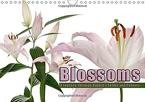 Blossoms - A Journey Through Natures Forms and Colours 2017 (Calendar, 3 Rev ed)