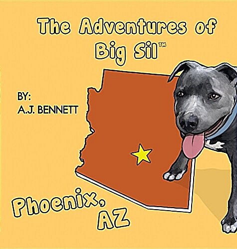 The Adventures of Big Sil Phoenix: Childrens Book (Hardcover)