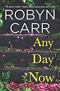 Any Day Now (Hardcover)