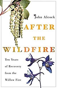 After the Wildfire: Ten Years of Recovery from the Willow Fire (Paperback)