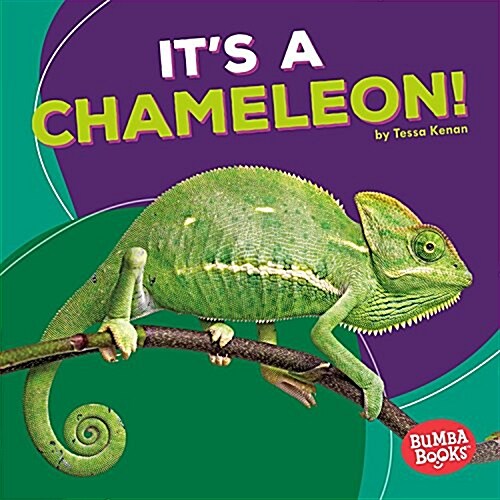 Its a Chameleon! (Library Binding)