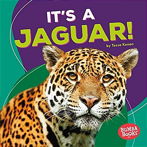 Its a Jaguar! (Library Binding)