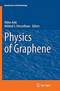 Physics of Graphene (Paperback, Softcover Repri)