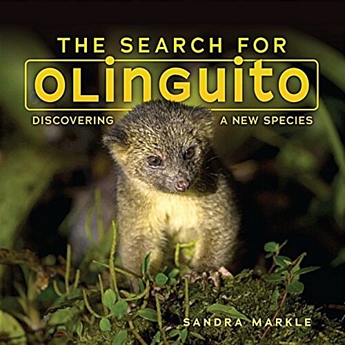 The Search for Olinguito: Discovering a New Species (Library Binding)