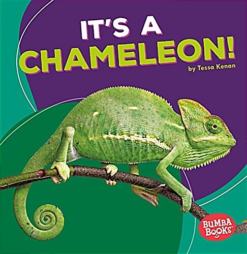 Its a Chameleon! (Paperback)