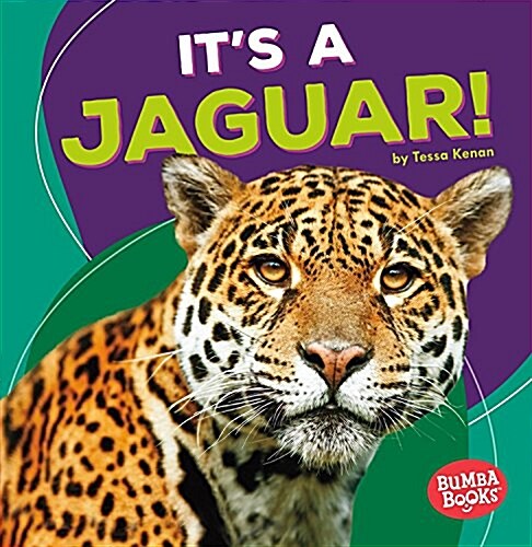 Its a Jaguar! (Paperback)