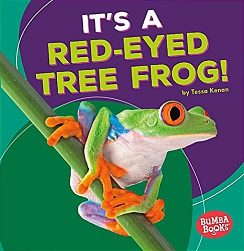 Its a Red-Eyed Tree Frog! (Paperback)