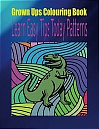 Grown Ups Colouring Book Learn Easy Tips Today Patterns Mandalas (Paperback)