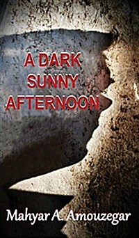 A Dark Sunny Afternoon (Hardcover)