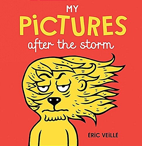 My Pictures After the Storm (Hardcover)