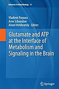 Glutamate and Atp at the Interface of Metabolism and Signaling in the Brain (Paperback, Softcover Repri)