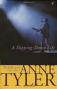 A Slipping Down Life (Paperback)