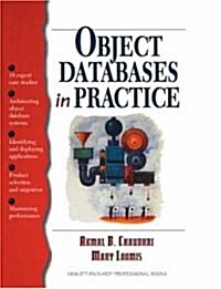 Object Databases in Practice (Paperback)