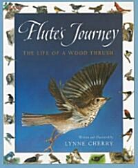 Harcourt School Publishers Collections: Chapter Book Grade 4 Flutes Journey (Paperback)