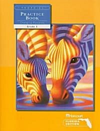 Trophies: Florida Edition, Changing Patterns Practice Book, Grade 3 (Paperback)