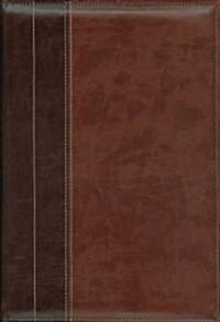 New International Version Archaeological Study Bible (Hardcover, LEA, Large Print)