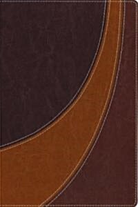 Case for Christ Study Bible-NIV: Investigating the Evidence for Belief (Imitation Leather)